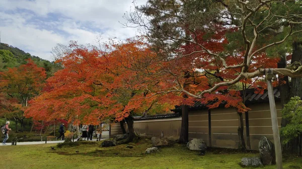 Kodaiji świątynne ogrody w Kioto Japonia — Zdjęcie stockowe