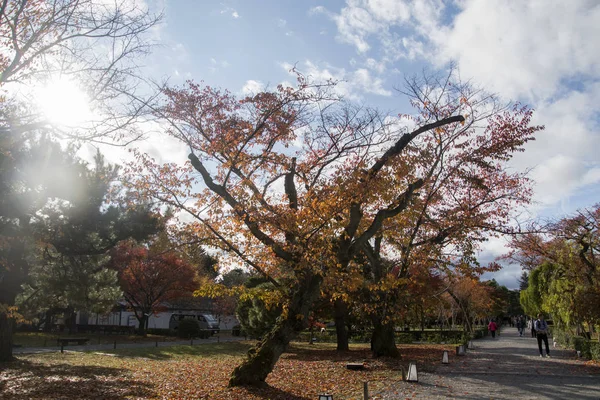 Touristen besuchen den Garten der Nijo-Burg mit buntem Herbst — Stockfoto