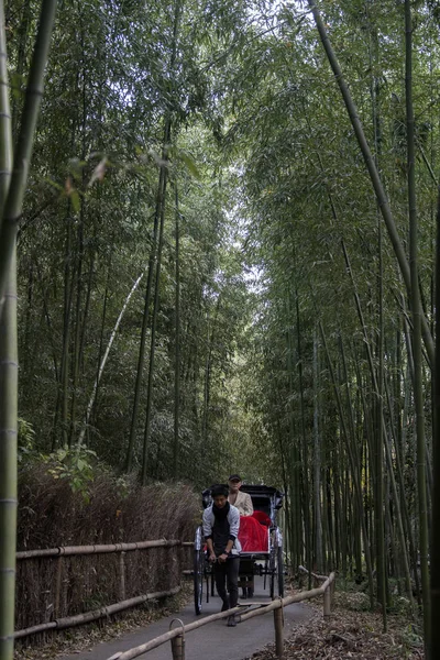 Tirato Rickshaw equitazione turisti attraverso un sentiero nella foresta di bambù a A — Foto Stock