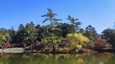 Itsukushima Tapınağı ile Kagami Ike 'ın (Ayna Göleti) sonbahar manzarası 