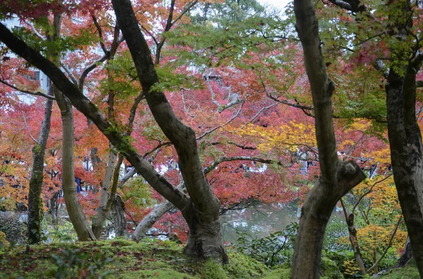 Jardins Eikando Zenrinji em Kyoto, Japão — Fotografia de Stock