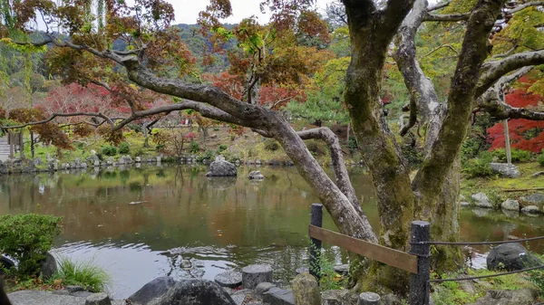 Saison d'automne coloré de feuilles dans le parc Maruyama à Kyoto — Photo