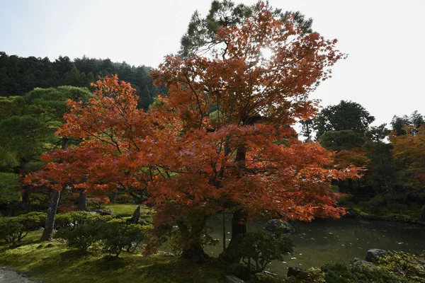 Cores bonitas da queda em Ginkaku-ji Pavilhão de Prata durante o a — Fotografia de Stock