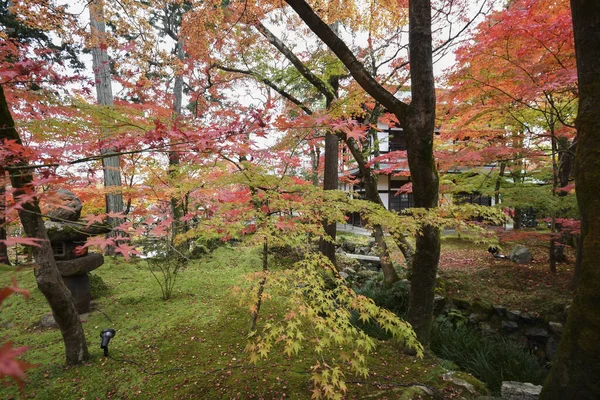 Hojas coloridas de color otoño en los jardines de Eikando Zenrinji en Kyoto , — Foto de Stock