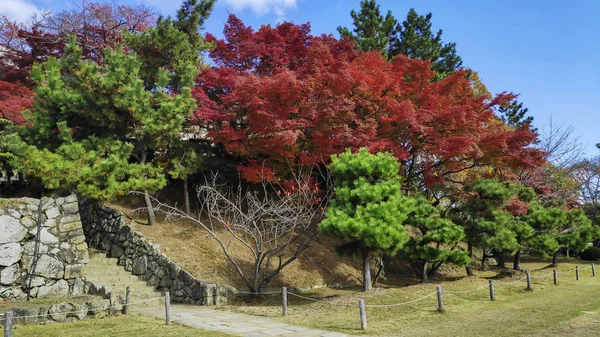 Красивый сад внутри замка Химэдзи — стоковое фото
