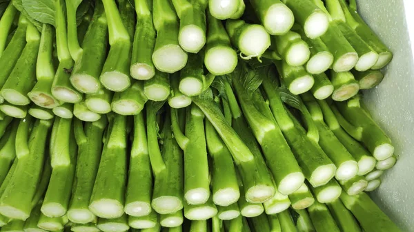 Bando Flor Choy Soma Vegetal Verde Popular Entre Chineses — Fotografia de Stock
