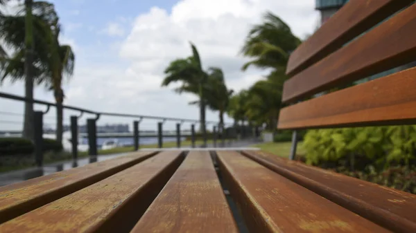 Wooden Bench Garden Park — Stock Photo, Image