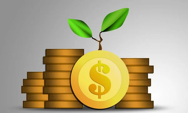 Coins and green plant for finance and banking concept, 3d rendering