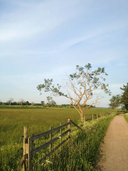 Dirt track alanları