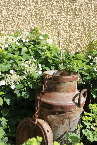 Rusty milk can — Stock Photo, Image