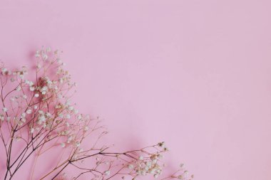 Pembe arka planda kurumuş çiçeklerin bileşimi. Uzayı kopyala Düz yerde, üst tarafta. seçici odak.