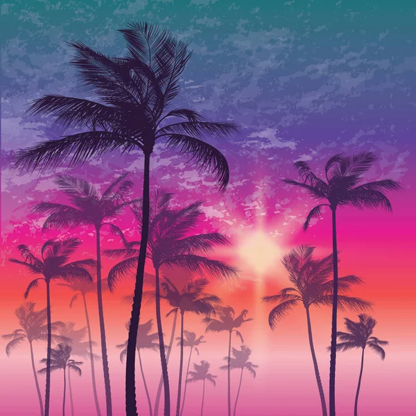 Tropical palm tree and sunset sky — Stock Vector