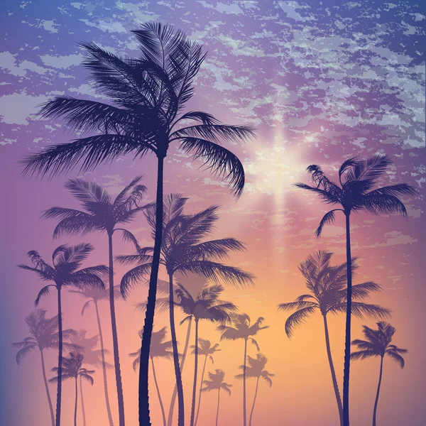 棕榈树和落日的天空的轮廓 — 图库矢量图片