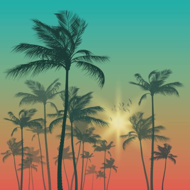 Palmiye ağacı ve günbatımı gökyüzü silüeti. Vektör çizim