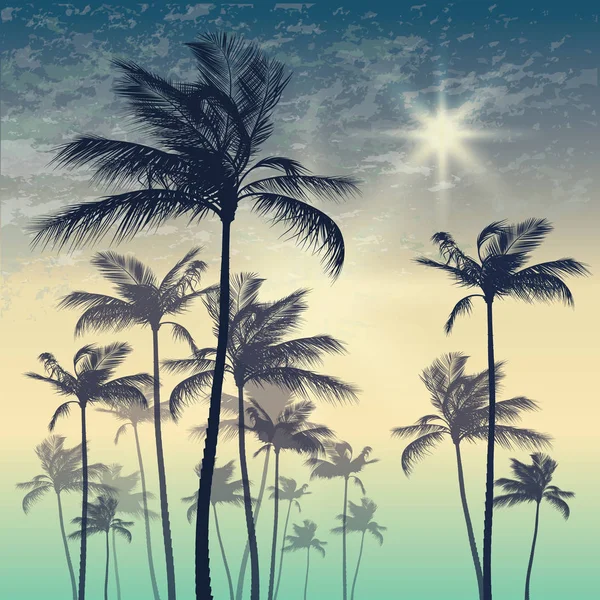 Palmiye ağacı ve günbatımı gökyüzü silüeti. Vektör çizim — Stok Vektör