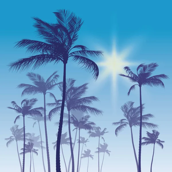 Silhouet van palm tree en avondrood — Stockfoto