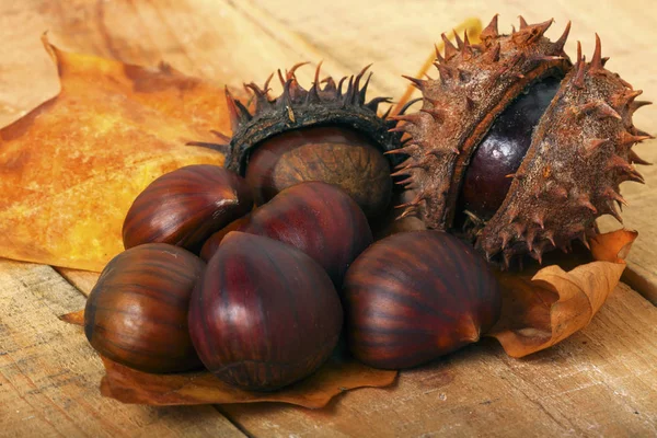 Chestnut on wood background — Stock Photo, Image