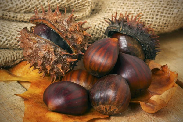 Chestnut on wood background — Stock Photo, Image