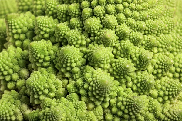 Nahtloser Hintergrund Aus Römischem Blumenkohl — Stockfoto