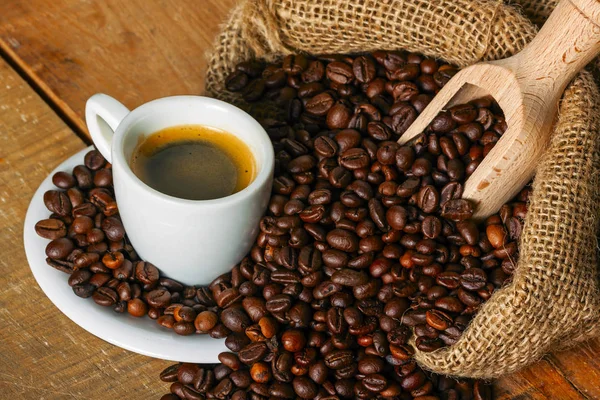 커피 나무 배경 — 스톡 사진