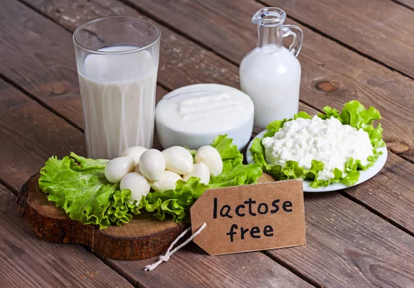 Melk, yoghurt, mozzarella en kaas met achtergrond - lactose vrij voedsel — Stockfoto