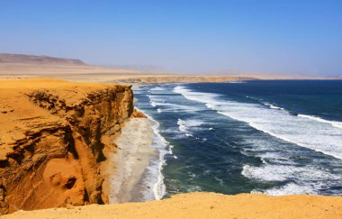 Paracas National Reserve, Ica Region, Peru. The Paracas Peninsula is located south of Lima and is home to the Paracas National Reserve.	