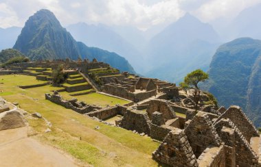 Machu Picchu, Cusco bölgesi, Peru: Tarım teraslarına genel bakış, Wayna Picchu ve arka planda çevredeki dağlar, Unesco, Dünya Mirası Alanı. Dünyanın Yeni Yedi Harikasından Biri
