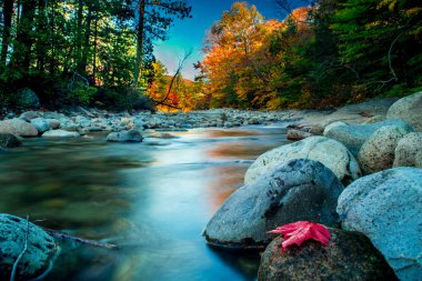 Pemigewasset Nehri - New Hampshire