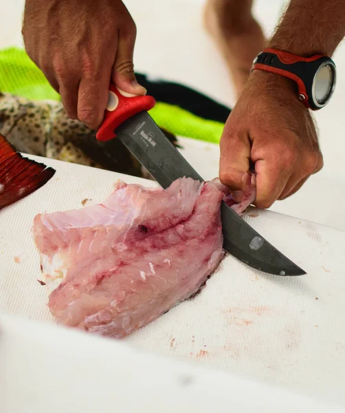 Gutting a Fish after a catch