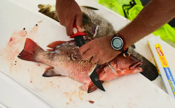 Fiske Vid Solnedgången Båt — Stockfoto