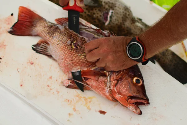 Gutting a Fish After a Catch