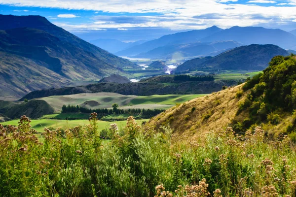 Man Vandring Roys Peak Nya Zeeland — Stockfoto