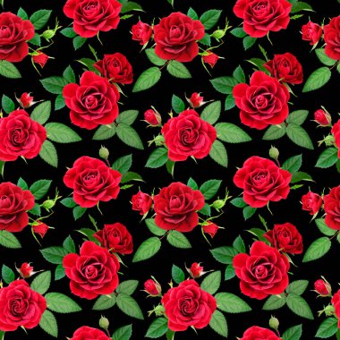 Siyah arkaplanda kusursuz kırmızı güller, fotorealistik kolaj..
