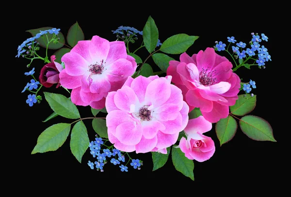 Bukiet Jasnoróżowych Róż Wspinaczkowych Niezapominających Czarnym Tle Barokowa Kompozycja Kwiatowa — Zdjęcie stockowe