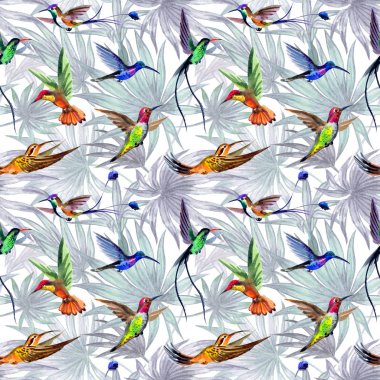 Palmiye yapraklarındaki sinekkuşu kuşlarının dikeni yok, suluboya çizimleri var. Kumaş, duvar kağıdı, çeşitli tasarımlar için arkaplan.