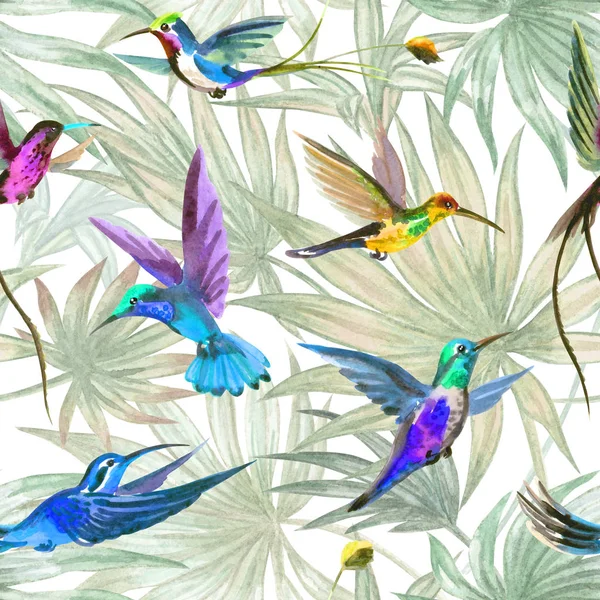 Colibri Oiseaux Motif Sans Couture Sur Fond Feuilles Palmier Illustration — Photo