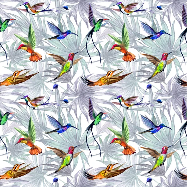 Колібрі Птахів Безшовний Візерунок Фоні Пальмового Листя Акварельна Ілюстрація Тропічний — стокове фото