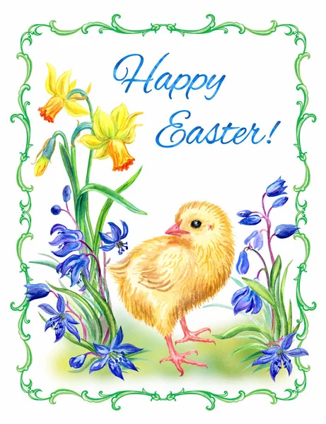 Chicken Spring Flowers Inscription Happy Easter Easter Card Watercolor Illustration — Stock Photo, Image