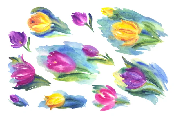Satz Abstrakter Tulpen Aquarell Illustration Auf Weißem Hintergrund Isoliert Sammlung — Stockfoto