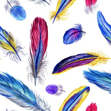 Beyaz arkaplanda çok renkli kuş tüylerinin kusursuz deseni, suluboya çizimi.