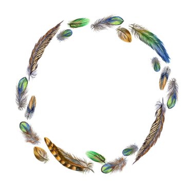 Çok renkli kuş tüyü çerçevesi, beyaz arkaplanda izole edilmiş suluboya çizimi.