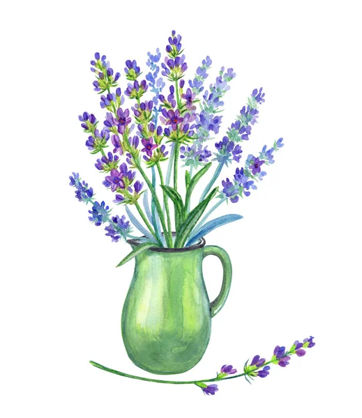 Bunch Lavender Jug Watercolor Drawing White Background Isolated — 스톡 사진
