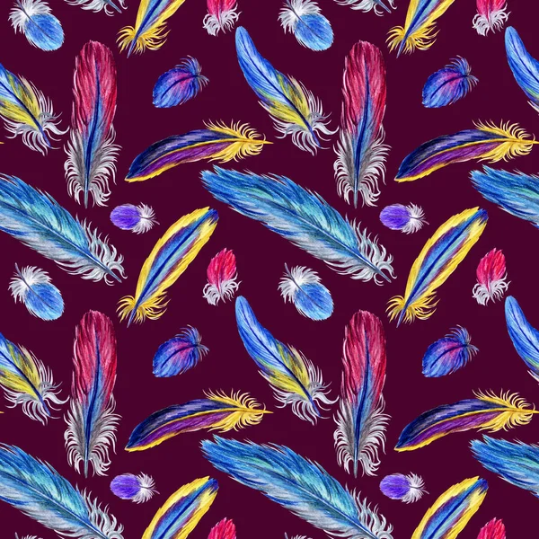 Modèle Sans Couture Plumes Oiseaux Multicolores Sur Fond Bordeaux Illustration — Photo