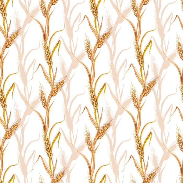Uši Pšenice Nebo Žitné Bezešvé Vzor Akvarel Ilustrace Bílém Pozadí — Stock fotografie