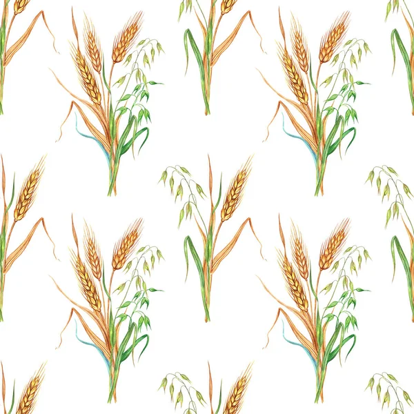 Ears Wheat Rye Oats Seamless Pattern Watercolor Illustration White Background — 스톡 사진