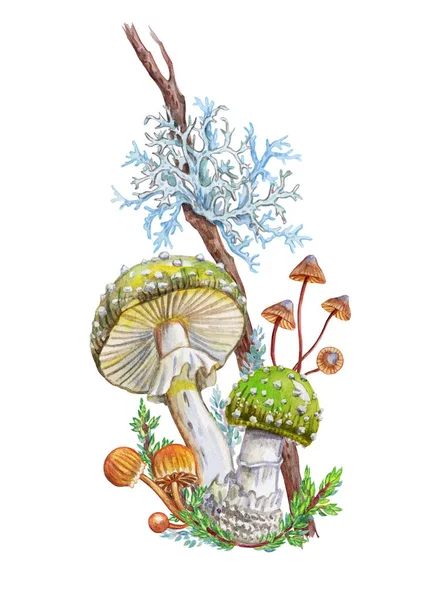 Buquê Cogumelos Ilustração Aquarela Fundo Branco Com Caminho Recorte Composição — Fotografia de Stock