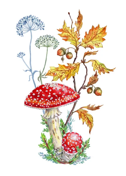 Bouquet Champignons Illustration Aquarelle Sur Fond Blanc Avec Chemin Coupe — Photo