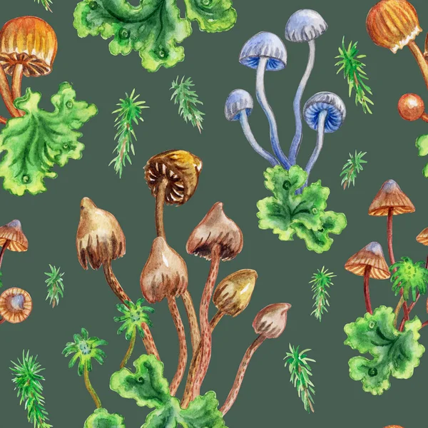 Seamless Watercolor Pattern Toadstools Moss — 스톡 사진
