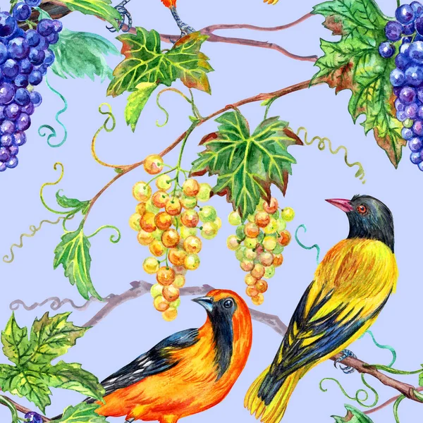 Grape Bird Seamless Pattern Watercolor Illustration Print Fabric Various Designs — Stock Photo, Image