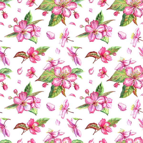 白い背景にピンクのリンゴの花のシームレスなパターン 水彩画 花の背景 — ストック写真
